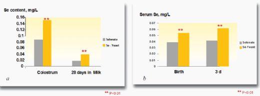 Organic selenium in ruminant diet: can we expect extra benefits beyond animal health? New evidences of improved milk and meat quality - Image 5