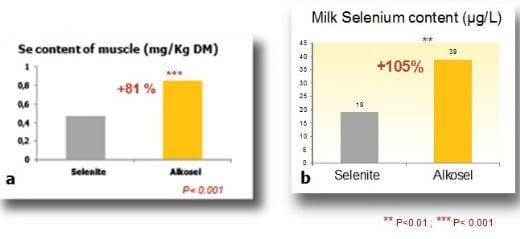 Organic selenium in ruminant diet: can we expect extra benefits beyond animal health? New evidences of improved milk and meat quality - Image 1
