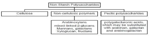 Feed Polysaccharides: Nutritional Roles and Effect of Enzymes - Image 1