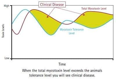 Understanding Mycotoxins - Image 4
