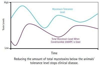 Understanding Mycotoxins - Image 5