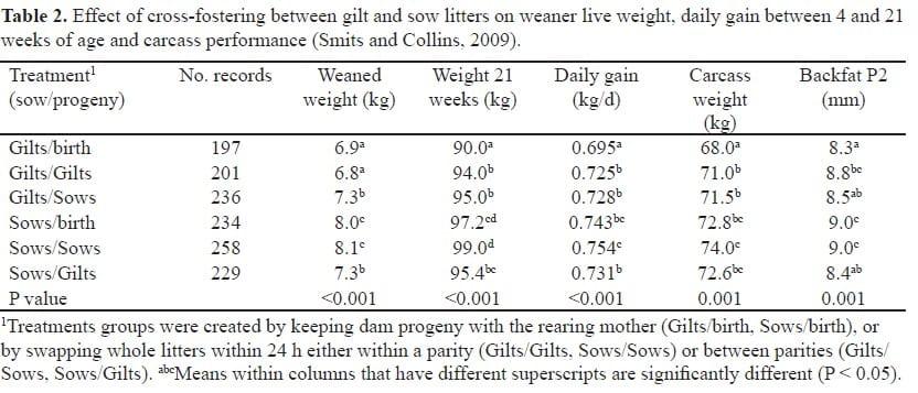 Impact of the Sow on Progeny Productivity and Herd Feed Efficiency - Image 3