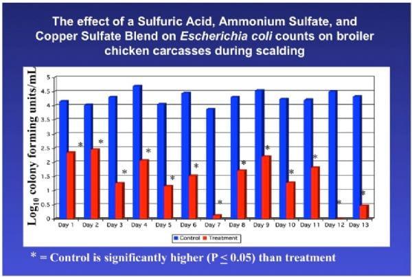 Intervention Strategies for Reducing Salmonella Prevalence on Ready-to-Cook Chicken - Image 20