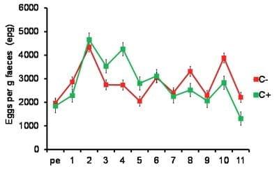 Effect of the Intake of Jackbean (Canavalia Ensiformis) on the Control of Gastrointestinal Parasites and the Growth of Tropical Lambs - Image 2