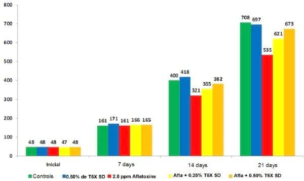 T5X SD feed additives efficiency on the aflatoxin toxicity reduction in broiler diets – In Vivo Study - Image 1