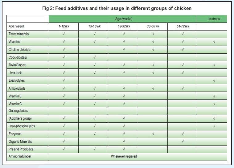 Balanced Nutrition for Different Phases of Chicken - Image 3