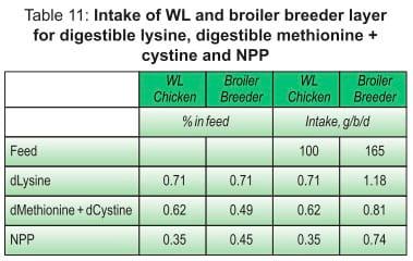 Balanced Nutrition for Different Phases of Chicken - Image 25