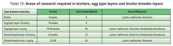 Balanced Nutrition for Different Phases of Chicken - Image 26