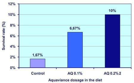Study on AQUAVIANCE product to improve growth performance and feed intake for Pangasius catfish (Pangasius hypophthalmus) - Image 6
