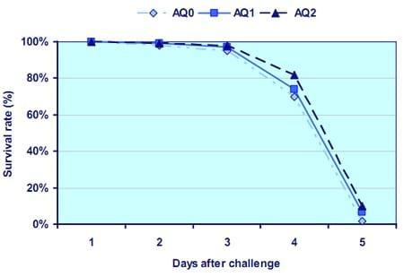 Study on AQUAVIANCE product to improve growth performance and feed intake for Pangasius catfish (Pangasius hypophthalmus) - Image 5