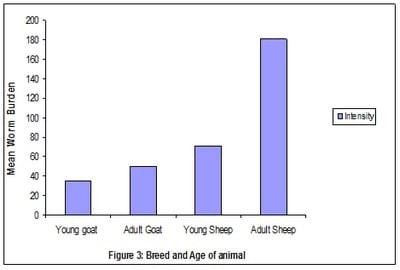Prevalence and intensity of Haemonchus contortus infection in two breeds of small ruminants in Maiduguri, an arid zone of Northern Nigeria - Image 3