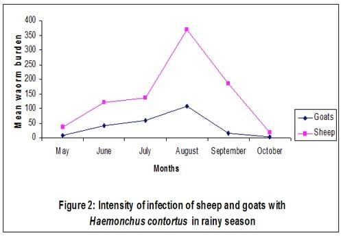 Prevalence and intensity of Haemonchus contortus infection in two breeds of small ruminants in Maiduguri, an arid zone of Northern Nigeria - Image 2