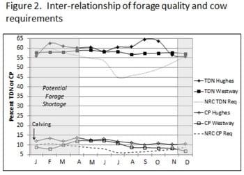 Strategic Supplementation of Beef Cows to Correct for Nutritional Imbalances - Image 5