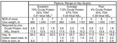 Strategic Supplementation of Beef Cows to Correct for Nutritional Imbalances - Image 2