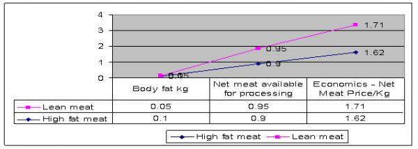 Lean Meat Efficiency in Broiler - Image 1