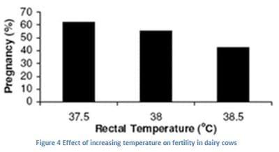 Heat Stress Takes Toll on Dairy Animal - Image 6