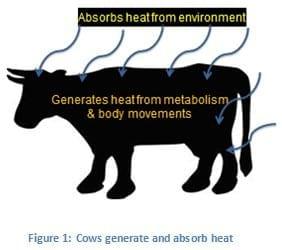 Heat Stress Takes Toll on Dairy Animal - Image 1
