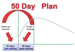 50-day Transition Period: Key Driver of Profitability - Image 1
