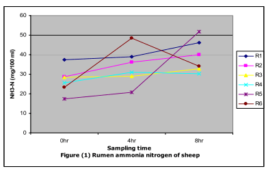 Utilization of Alfalfa and Atriplex for Feeding Sheep under Saline Conditions of South Sinai, Egypt - Image 5