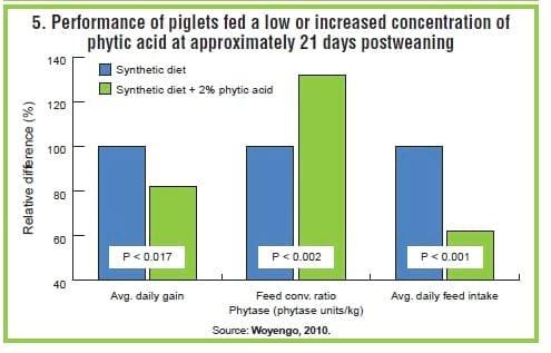 Phytate: Anti-nutrient for poultry, swine - Image 5