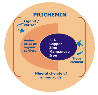 Prichemin (Chelated Minerals of Amino Acids) - Image 1