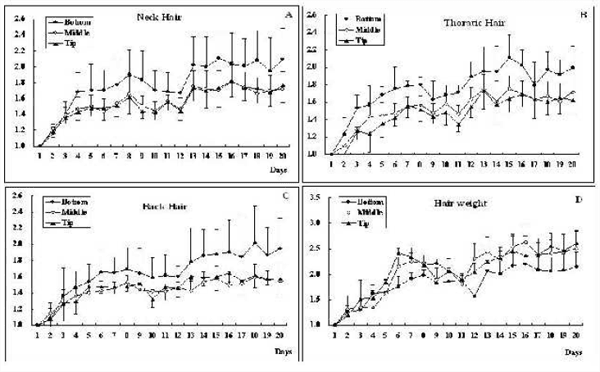 Effect of Pregnancy on Body Hair Growth in Dairy Cattle - Image 2