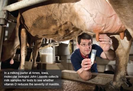 Alternatives to Antibiotics in Animal Health - Image 3