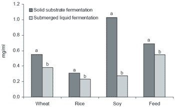 Production of enzymes for the feed industry using solid substrate fermentation - Image 8
