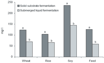Production of enzymes for the feed industry using solid substrate fermentation - Image 9