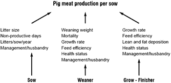 Creating technical and educational forums that help pig producers meet performance and economic goals: the Premier Pig Program™ - Image 2
