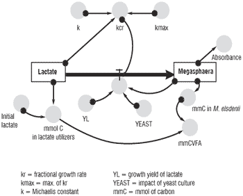 Rumen acidosis: modeling ruminant response to yeast culture - Image 2