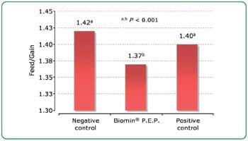 Biomin® P.E.P. 125 Scientific trial with piglets - Image 4