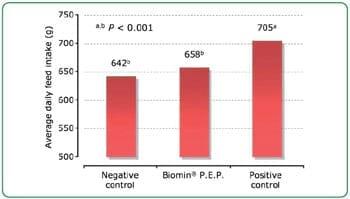 Biomin® P.E.P. 125 Scientific trial with piglets - Image 5