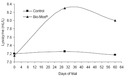 Influence of dietary Bio-Mos® on growth, survival and immune status of rainbow trout (Salmo gairdneri irideus G.) and common carp (Cyprinus carpio L.) - Image 16