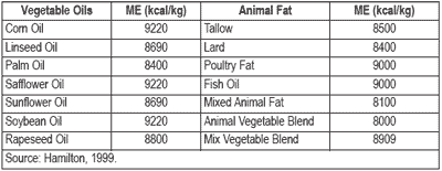 Usage of fat in broiler nutrition - Image 2