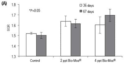 Does feeding Bio-Mos® enhance immune system function and disease resistance in European sea bass (Dicentrarchus labrax)? - Image 5
