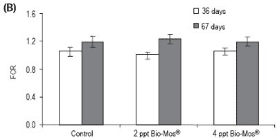 Does feeding Bio-Mos® enhance immune system function and disease resistance in European sea bass (Dicentrarchus labrax)? - Image 6