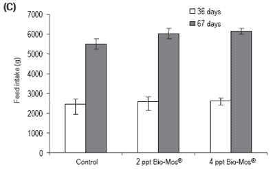 Does feeding Bio-Mos® enhance immune system function and disease resistance in European sea bass (Dicentrarchus labrax)? - Image 7
