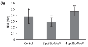 Does feeding Bio-Mos® enhance immune system function and disease resistance in European sea bass (Dicentrarchus labrax)? - Image 11