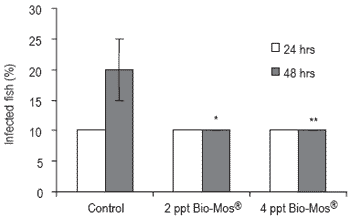 Does feeding Bio-Mos® enhance immune system function and disease resistance in European sea bass (Dicentrarchus labrax)? - Image 17