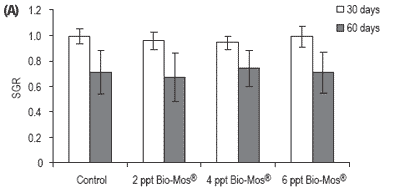 Does feeding Bio-Mos® enhance immune system function and disease resistance in European sea bass (Dicentrarchus labrax)? - Image 19