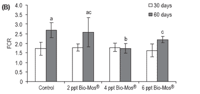 Does feeding Bio-Mos® enhance immune system function and disease resistance in European sea bass (Dicentrarchus labrax)? - Image 20