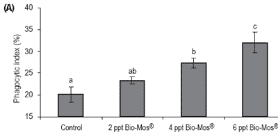 Does feeding Bio-Mos® enhance immune system function and disease resistance in European sea bass (Dicentrarchus labrax)? - Image 22
