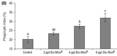 Does feeding Bio-Mos® enhance immune system function and disease resistance in European sea bass (Dicentrarchus labrax)? - Image 23