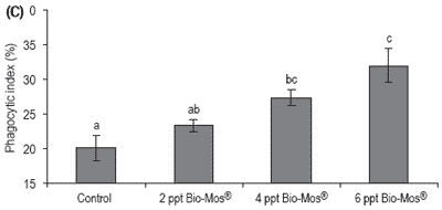 Does feeding Bio-Mos® enhance immune system function and disease resistance in European sea bass (Dicentrarchus labrax)? - Image 24