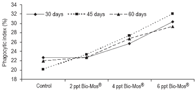 Does feeding Bio-Mos® enhance immune system function and disease resistance in European sea bass (Dicentrarchus labrax)? - Image 25