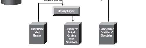 Growing potential for using dried distillers’ grains with solubles in swine diets - Image 3