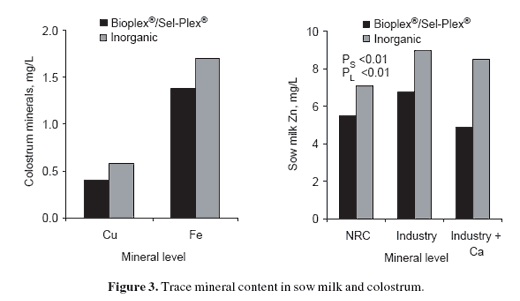 Enhancing sow reproductive performance by organic trace mineral (Bioplex® and Sel-Plex®) dietary inclusion - Image 4