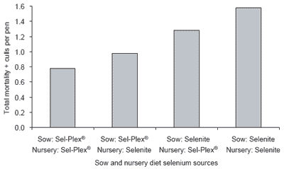 Piglet survivability and performance: Sel-Plex® versus sodium selenite in sow and nursery diets - Image 8