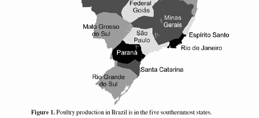 Following response to Sel-Plex® and other organic minerals through the broiler breeder maze: case studies in Brazil - Image 2